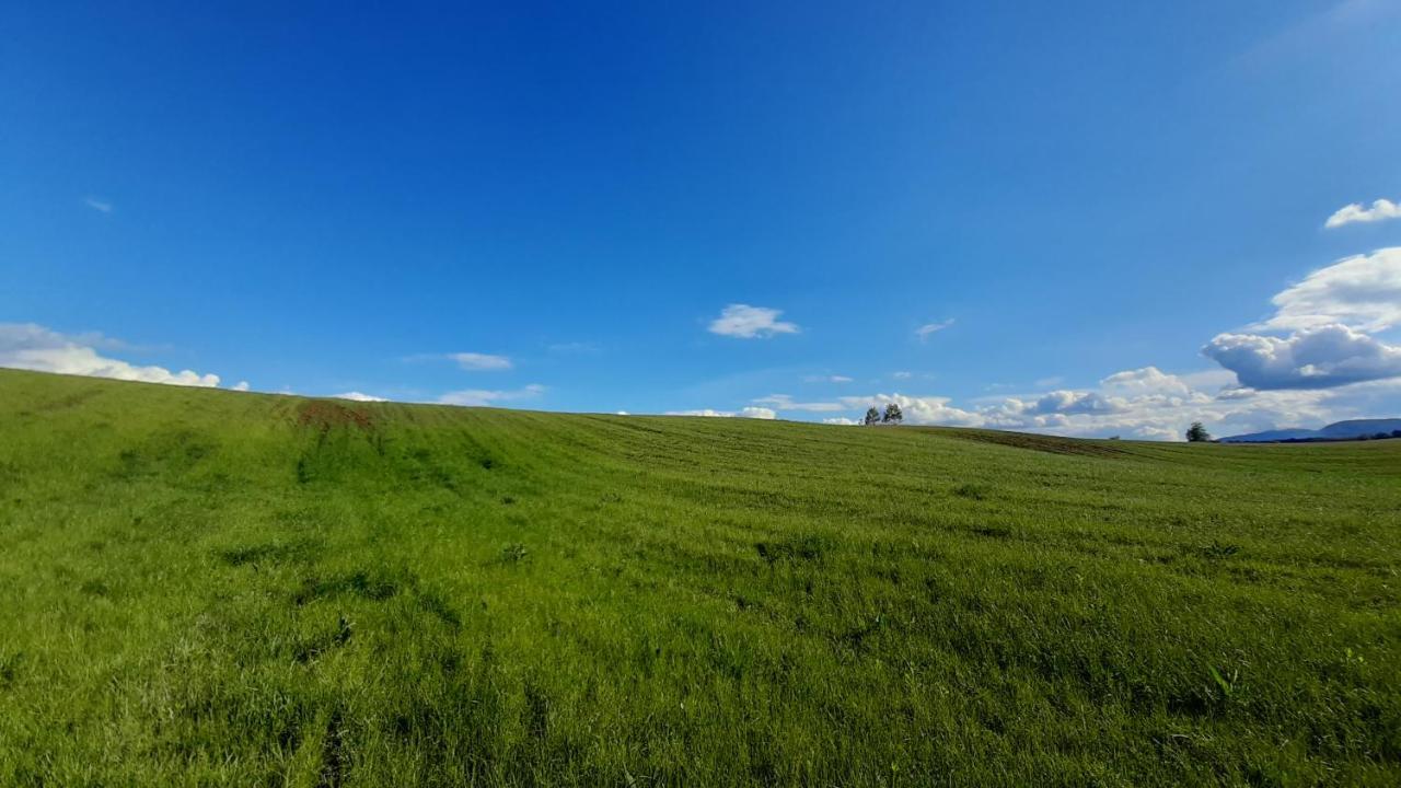 Willa Tiny House Grabovac Rakovica Zewnętrze zdjęcie