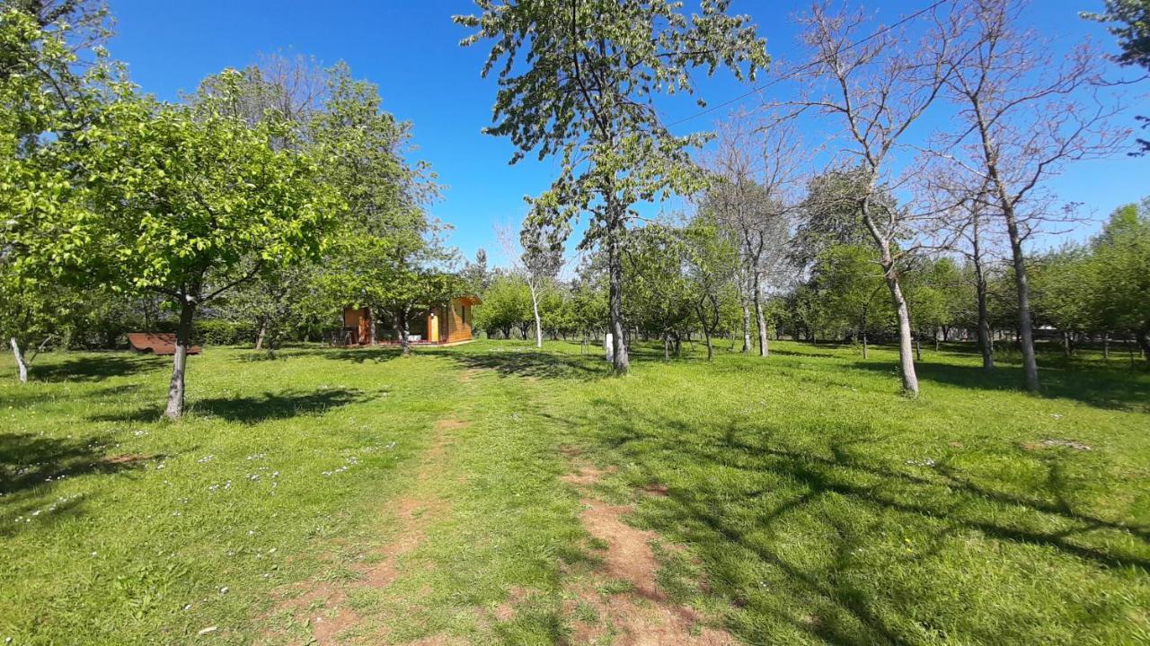 Willa Tiny House Grabovac Rakovica Zewnętrze zdjęcie