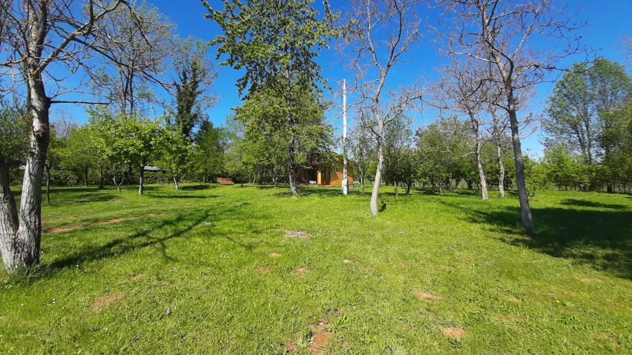Willa Tiny House Grabovac Rakovica Zewnętrze zdjęcie